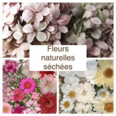 cadre fleurs blc cadre fleurs blc