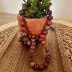 Processed with MOLDIV Processed with MOLDIV